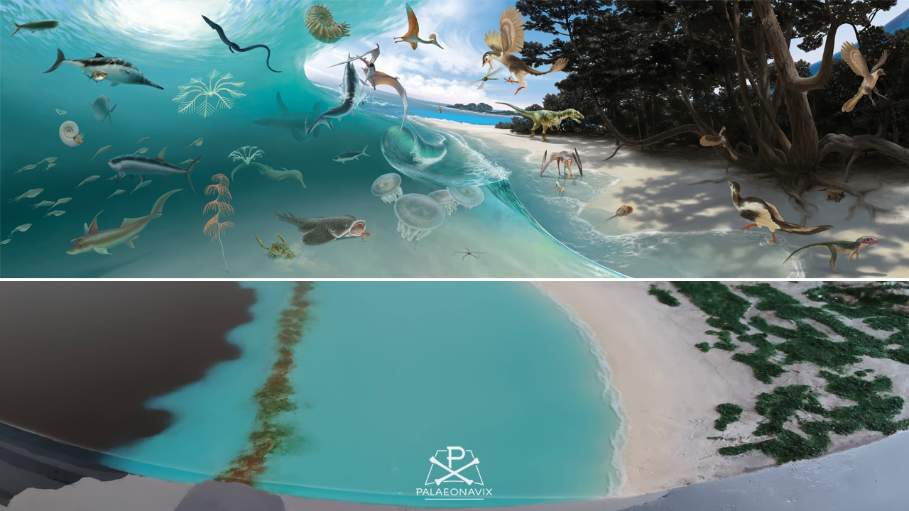 Archaeopteryx Solnhofen Jurassic Rhamphorhynchus