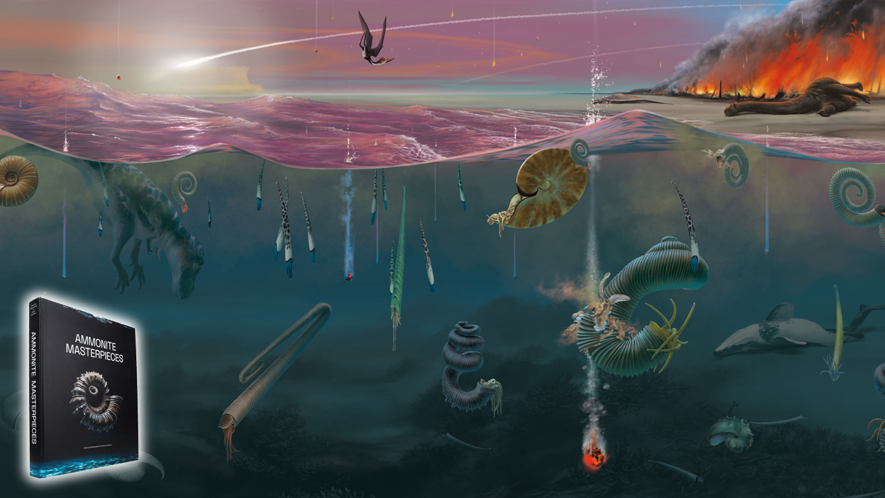 Ammonite extinction end-Cretaceous mass extinction