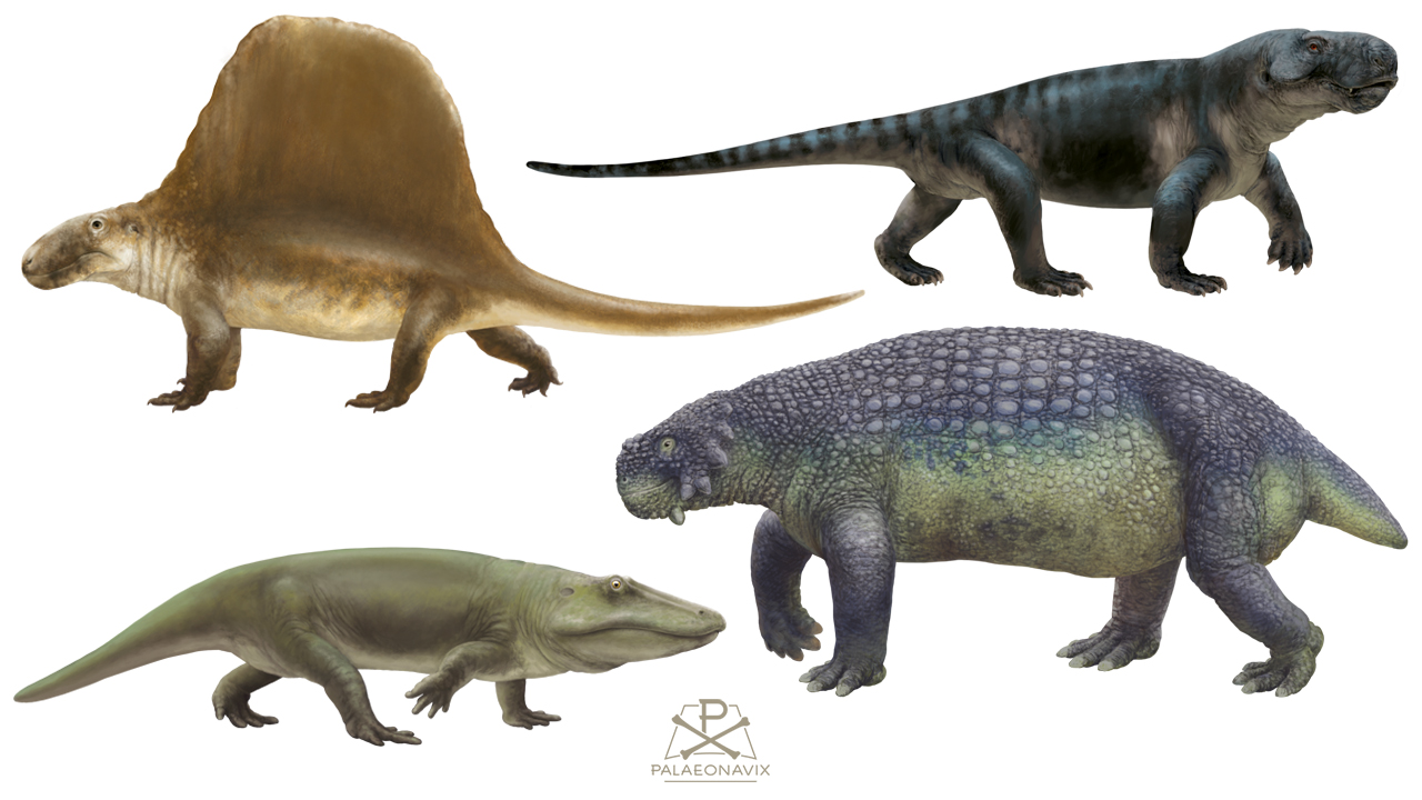 Dimetrodon Archaeosyodon Scutosaurus Eryops