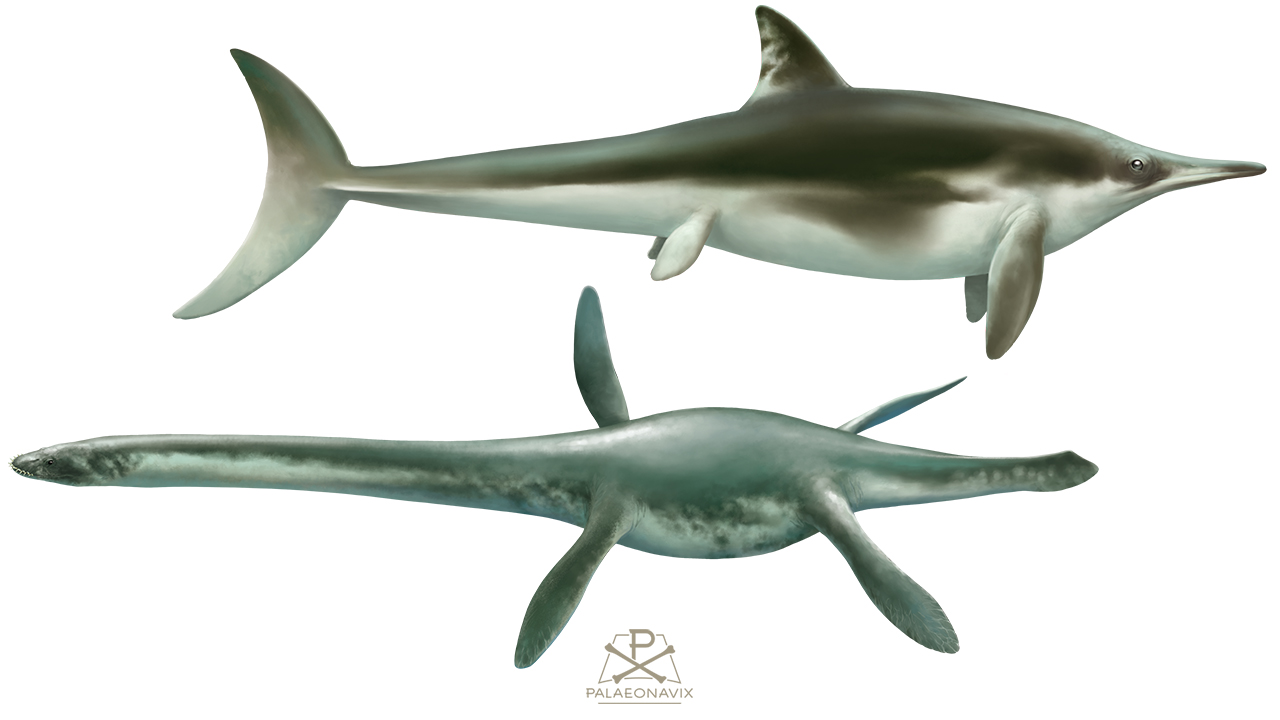 Ichthyosaurus Plesiosaurus marine reptiles early Jurassic