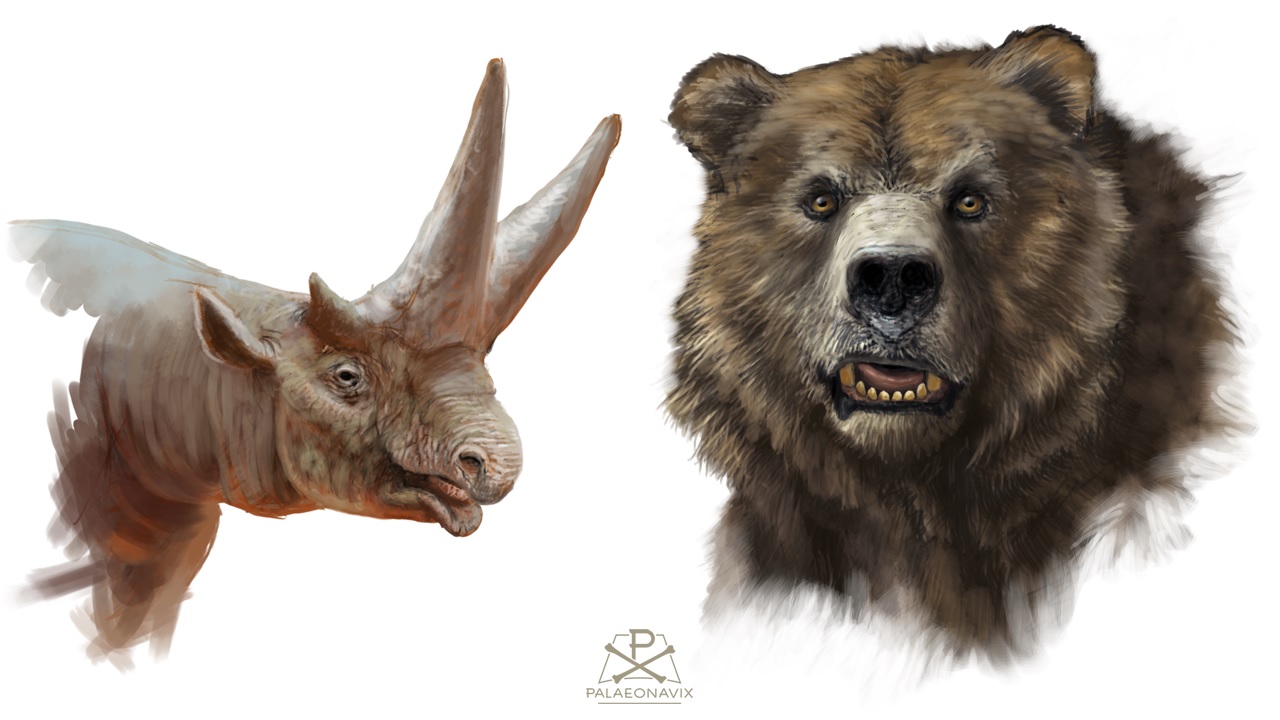 cave bear fossil mammal Arsinoitherium afrotheria paleoart
