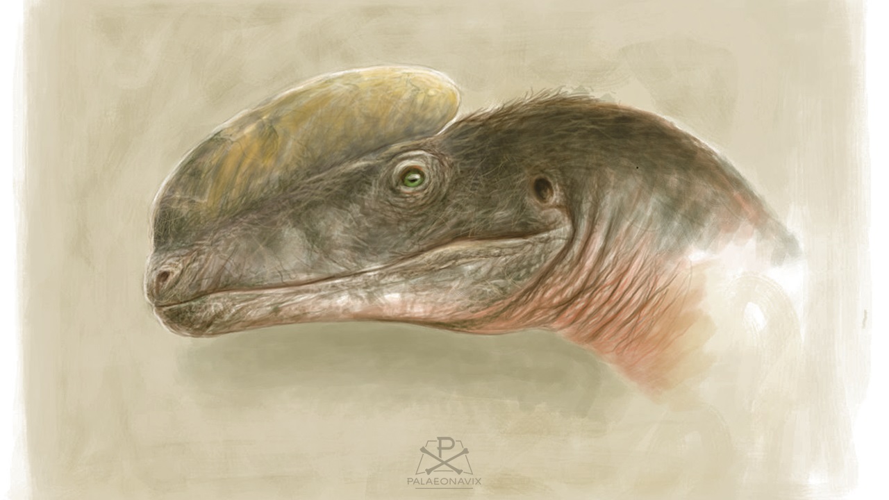 Proceratosaurus theropod tyrannosauroid dinosaur painting