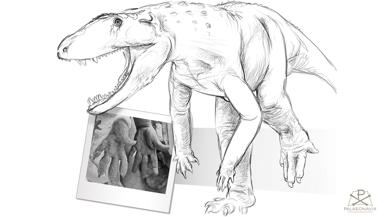 Chirotherium trackmaker pseudosuchian Triassic archosaur