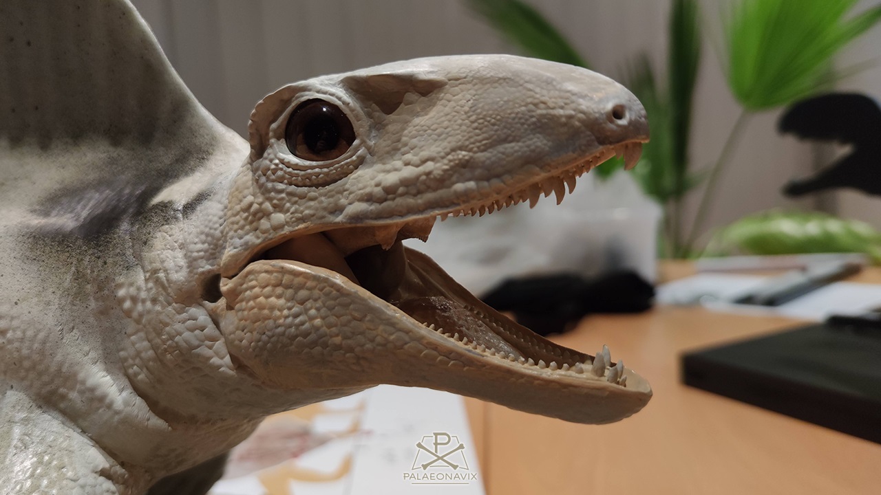 Dimetrodon model pelycosaur Sphenacodontidae sculpting