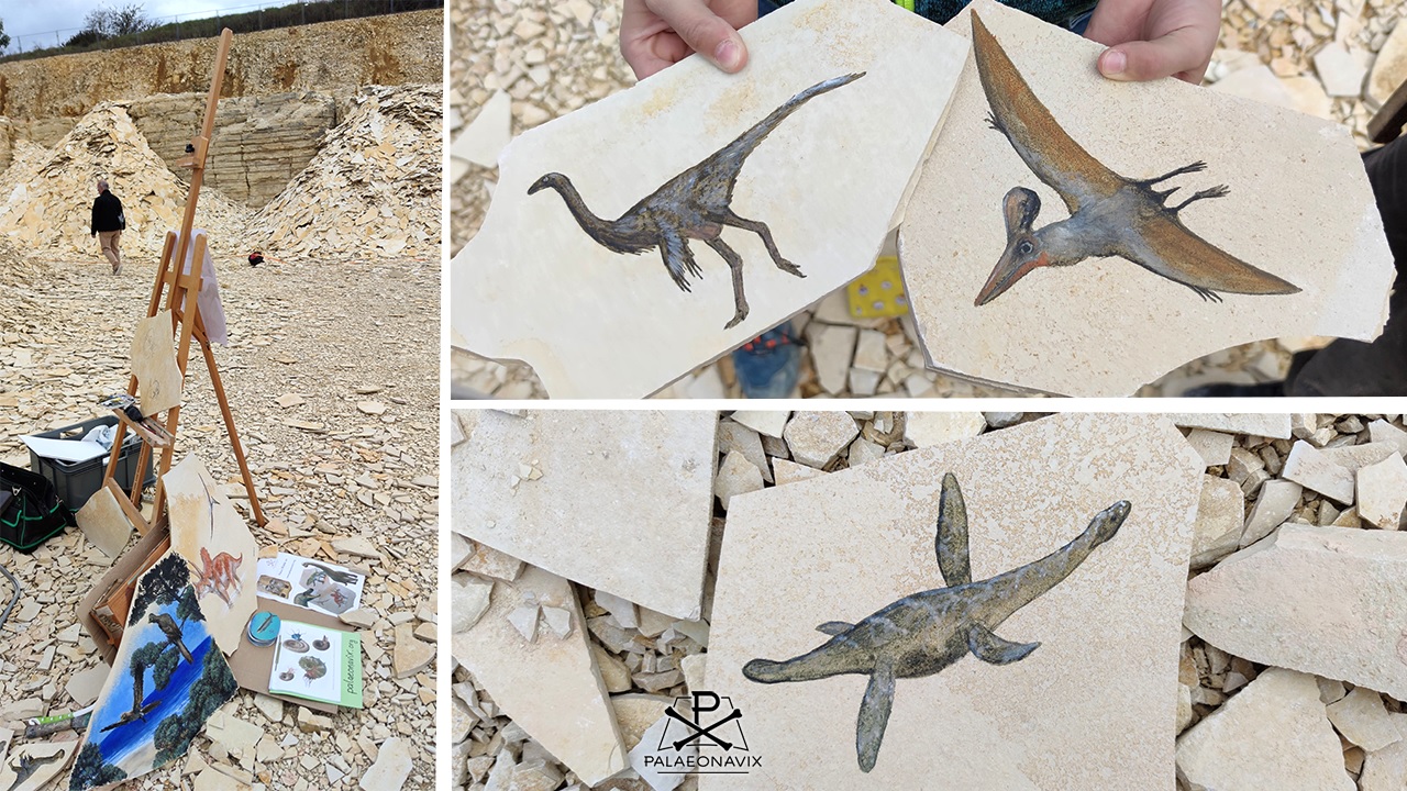 live palaeo art Frederik Spindler Fossiliensteinbruch Blumenberg