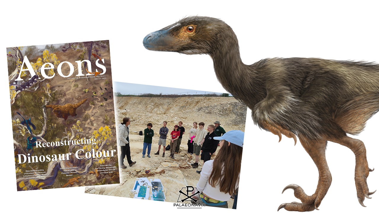 Aeons iuuse 1 interview palaeoart palaeo illustration Frederik Spindler