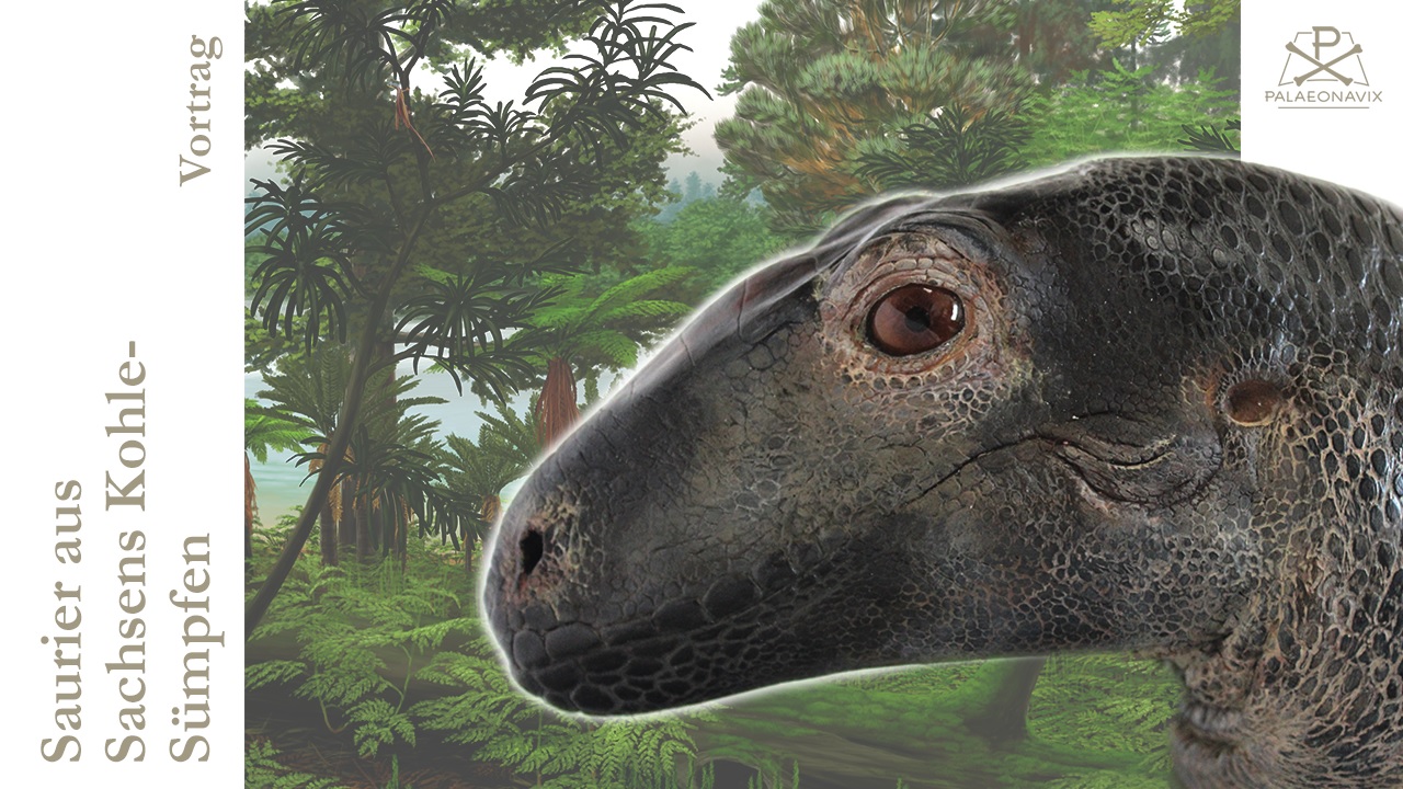 Pantelosaurus Döhlenbecken coal swamp Permian pelycosaur sphenacodontian