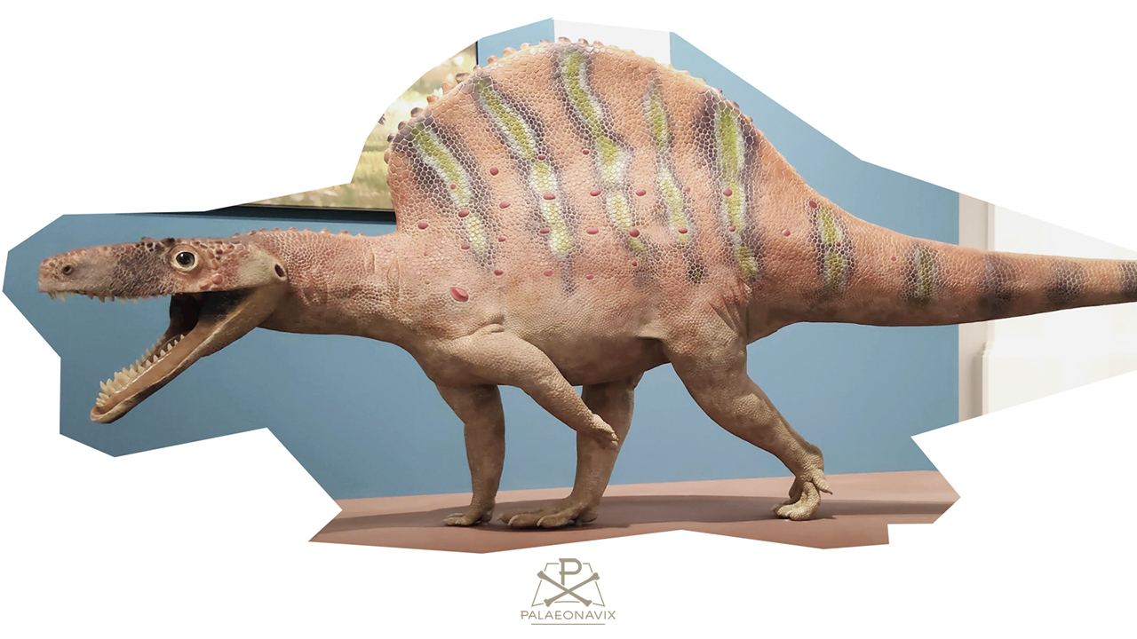Handgefertigte Skulptur eines Ctenosauriscus mit Rückensegel neben Chirotherium-Fährten