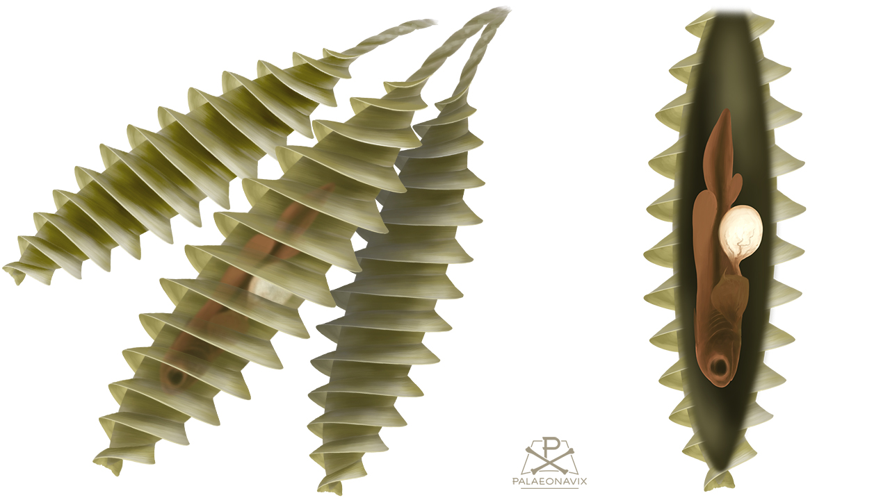 Digitale Malerei der als Fayolia bezeichneten Eikapseln von Xenacanthiformes