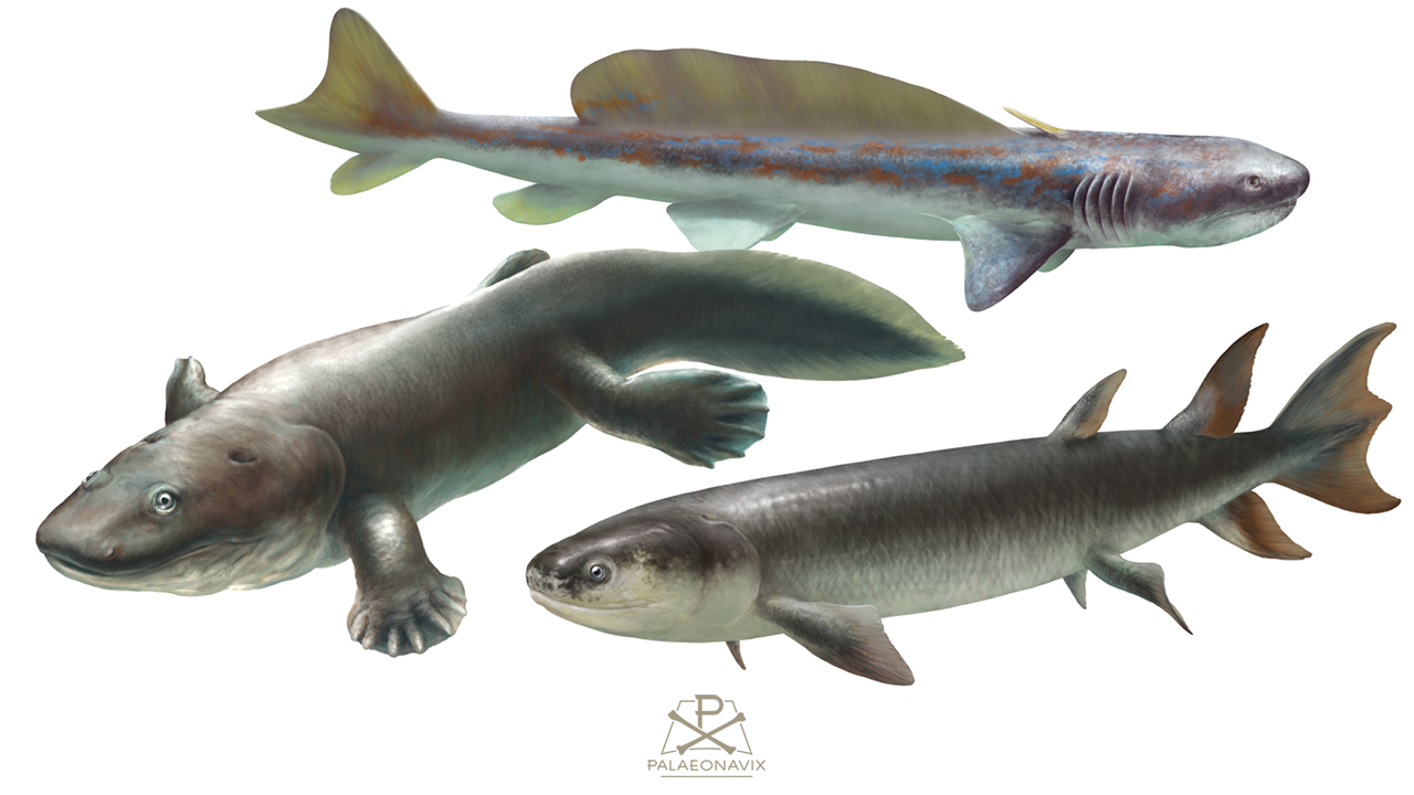 Digitale Zeitleiste mit Eusthenopteron, Ichthyostega und Orthacanthus