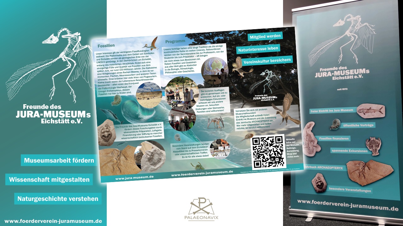 Flyer und Roll-up-Banner für den Förderverein des Jura-Museums Eichstätt
