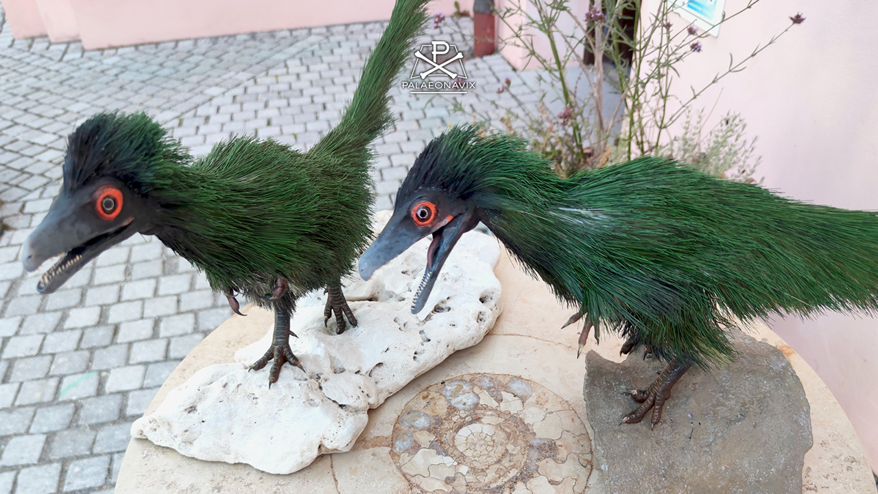 Zwei Modelle des Raubdinosauriers Juravenator mit dichtem grünem Gefieder