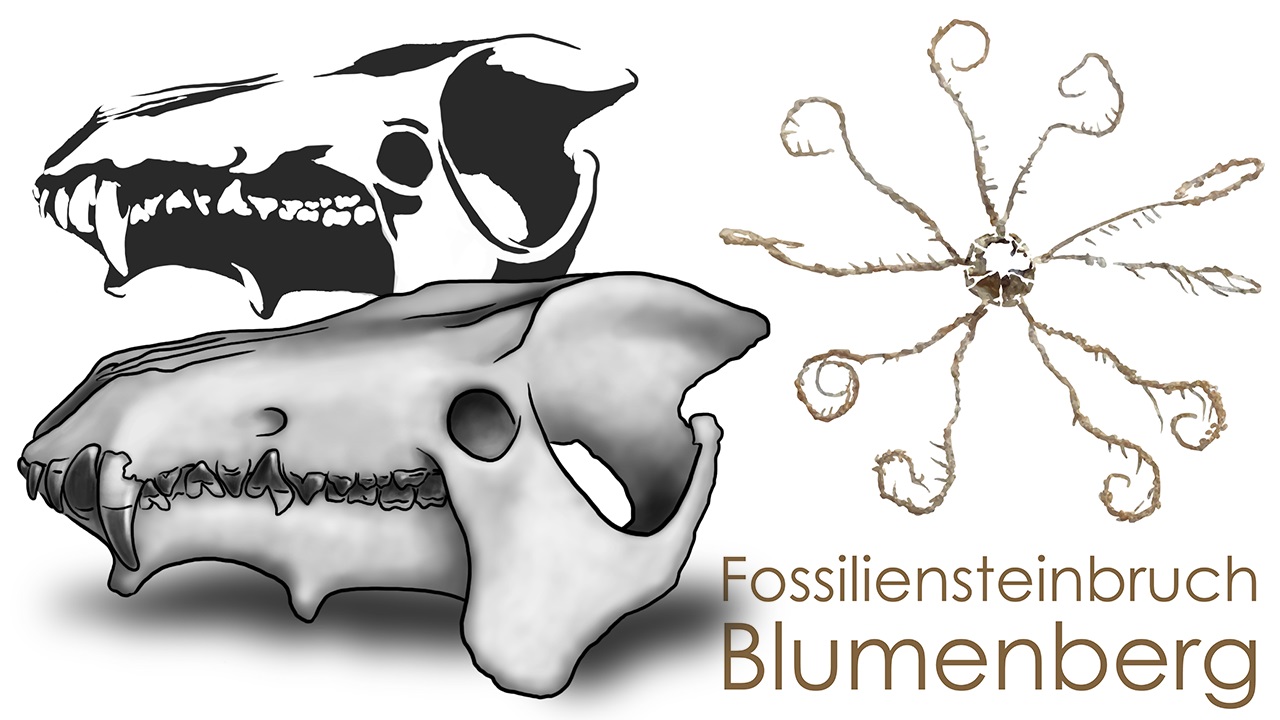 Auswahl gestalteter Logos und Signets für museale und private Auftraggeber