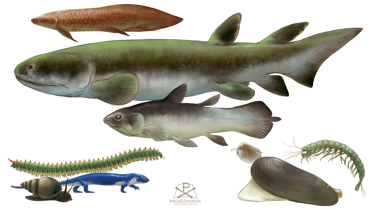 Digitale Malerei der Fische, Wirbellosen und kleinen Vierfüßer aus dem Remigiusberg-Delta