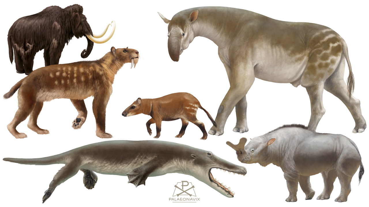 Digitale Zeitleiste mit Mammut, Säbelzahnkatze, Paraceratherium und Urwal