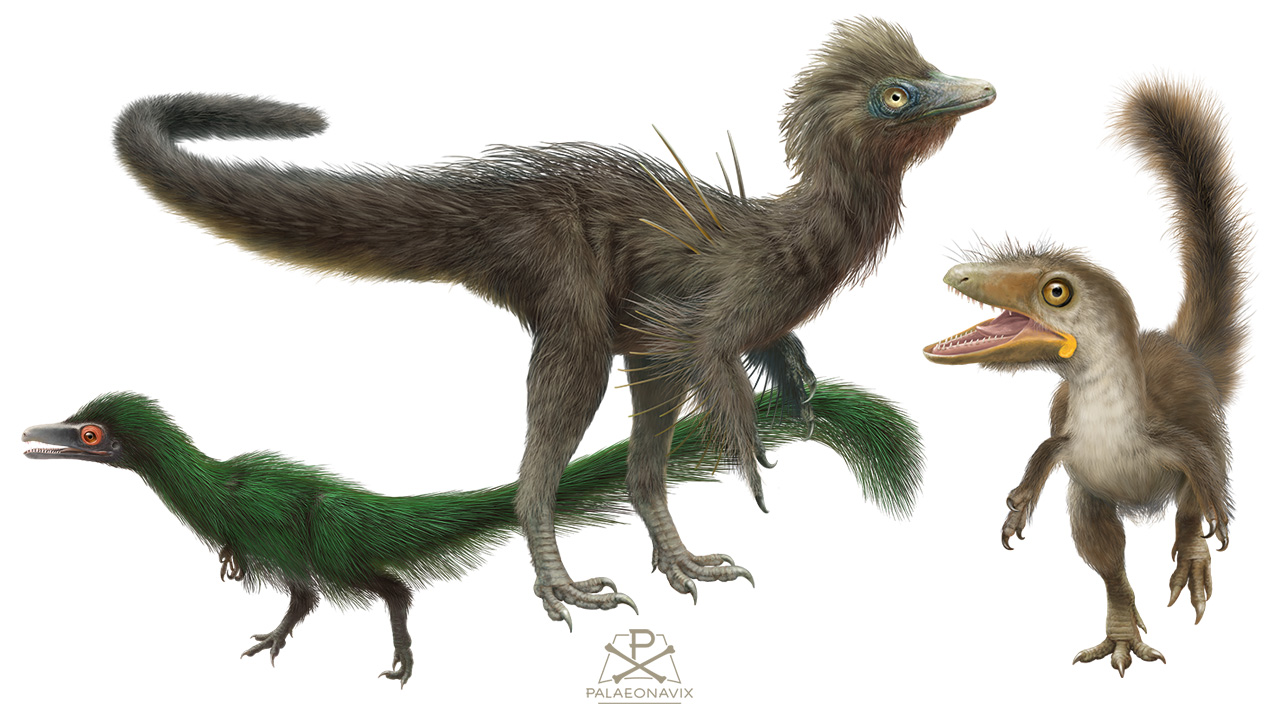 Digitale Malerei von Compsognathus, Sciurumimus und Juravenator