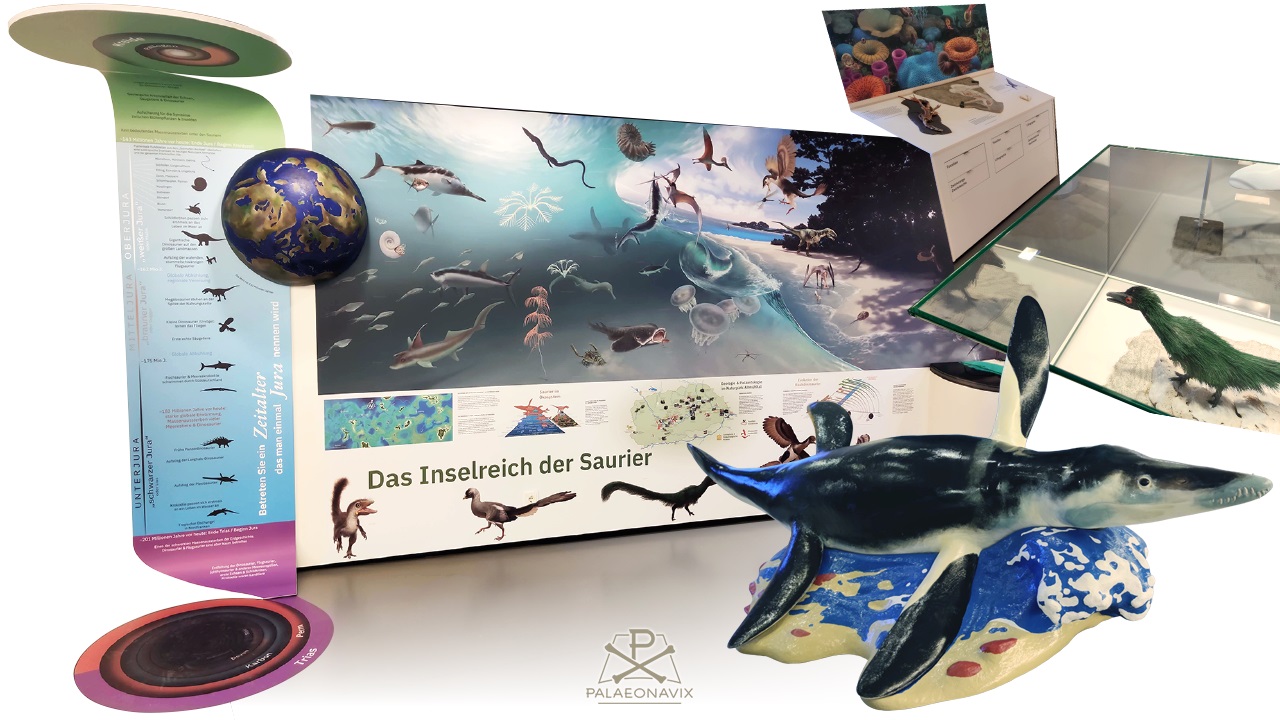 Ausstellungskonzept mit Saurierwand, Vitrine und Zeitspirale im Informationszentrum des Naturparks Altmühltal