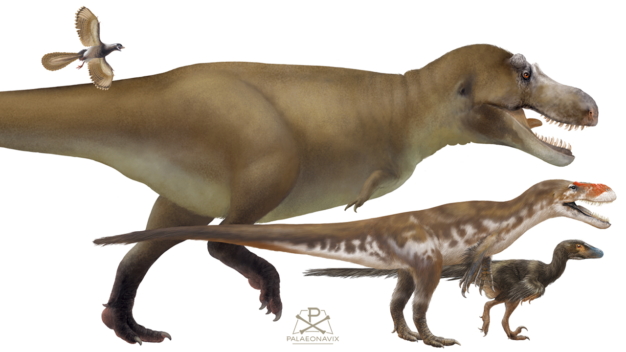 Digitale Zeitleiste mit Tyrannosaurus, Torvosaurus, Archaeopteryx und Deinonychus
