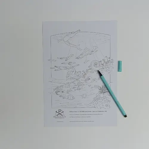 Ausmalbogen „Jura-Meer“