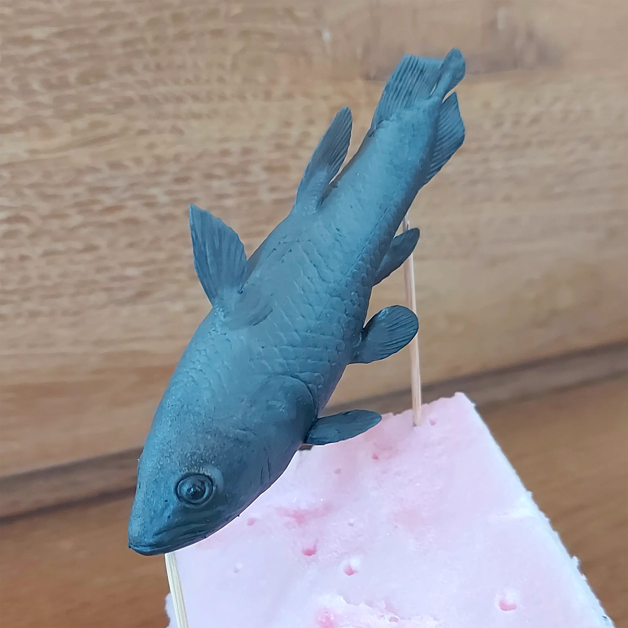 Quastenflosser Holophagus – Paläo-Modell aus Resin, individuell bemalt (Beispielbemalung, jedes Stück ein Unikat)