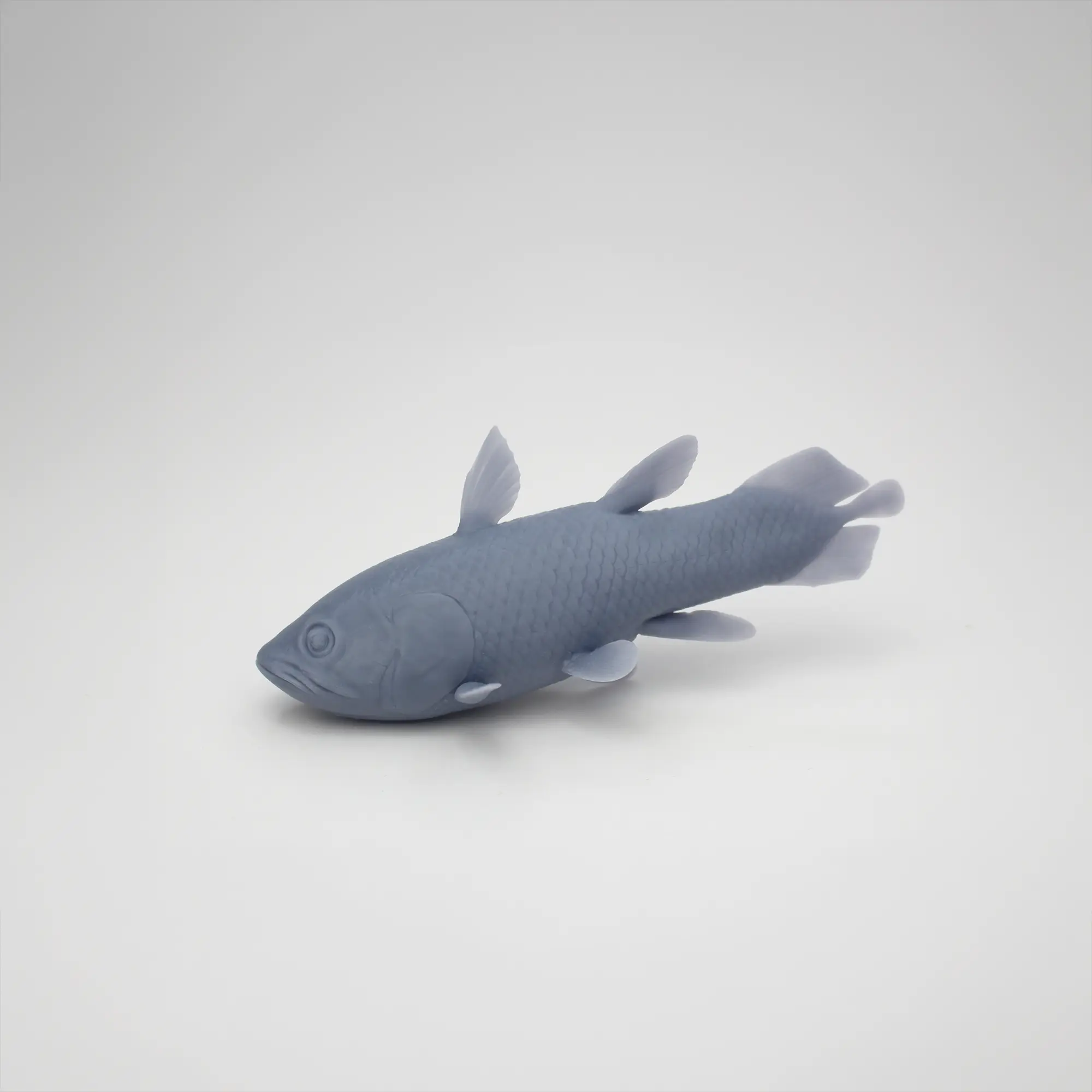 Quastenflosser Holophagus – Paläo-Modell aus Resin, unbemalt, Seitenansicht links